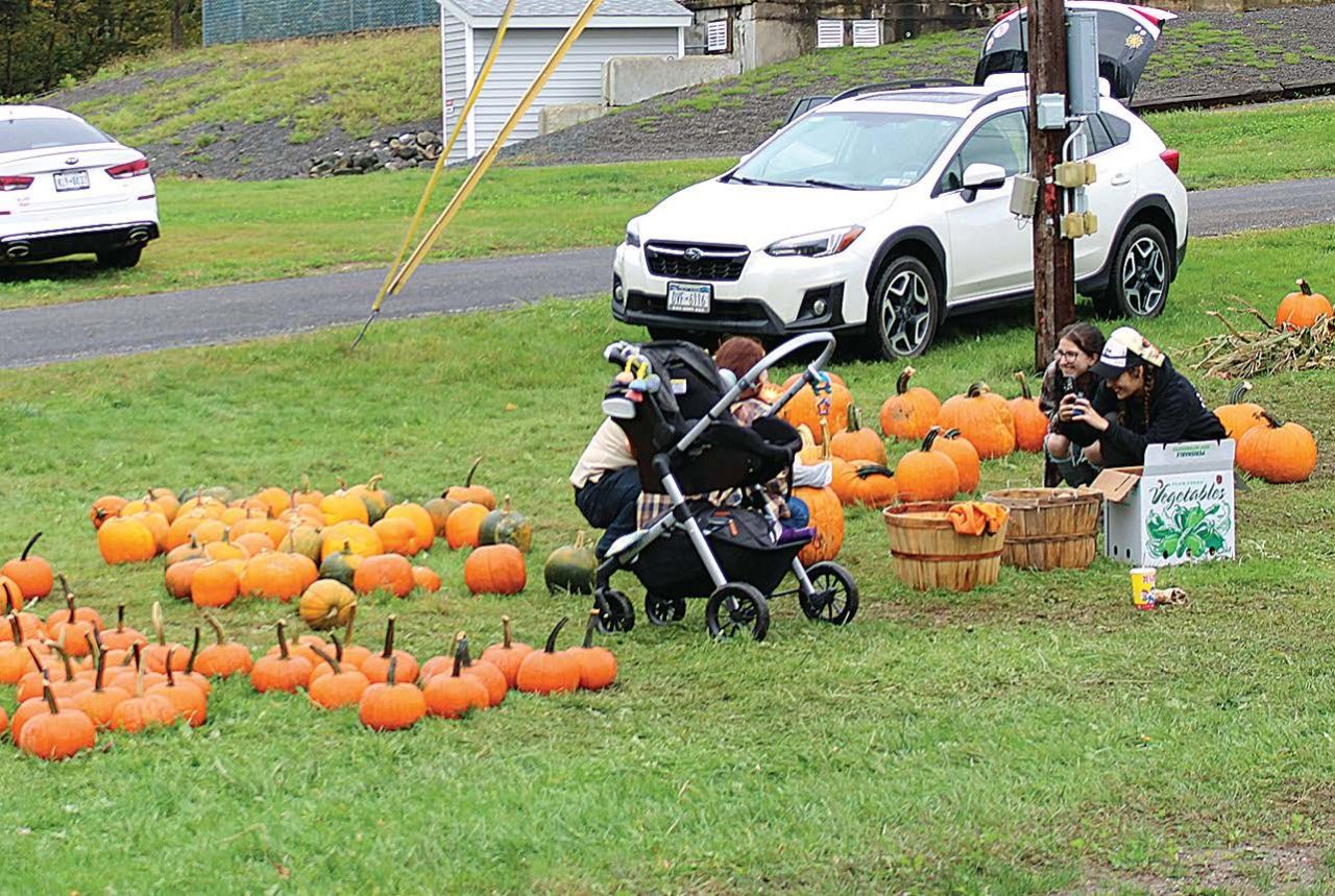 Despite weather, pumpkin fans enjoy the DPL’s party