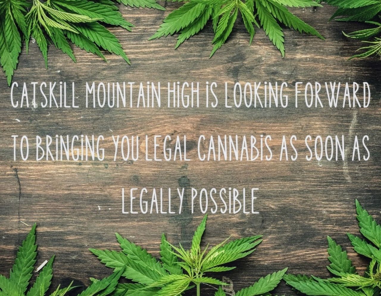 Uptown Kingston Store Gets State OK to Sell Adult-Use Cannabis