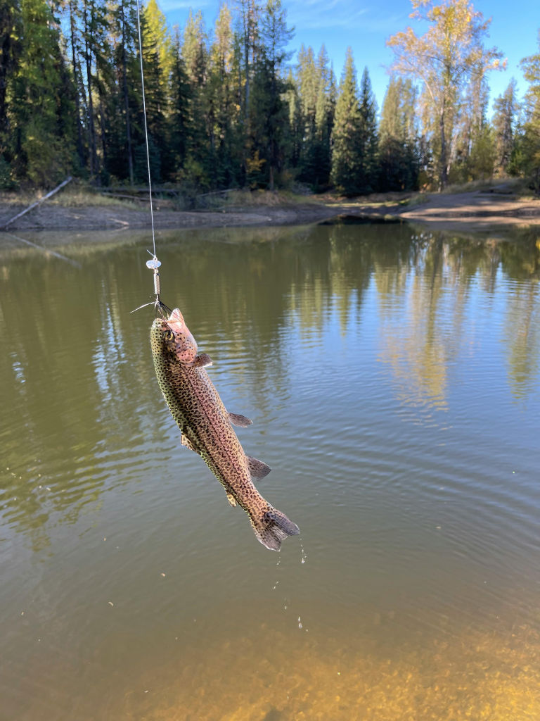 DEC's 2024 Trout-Stocking Season Kicks Off