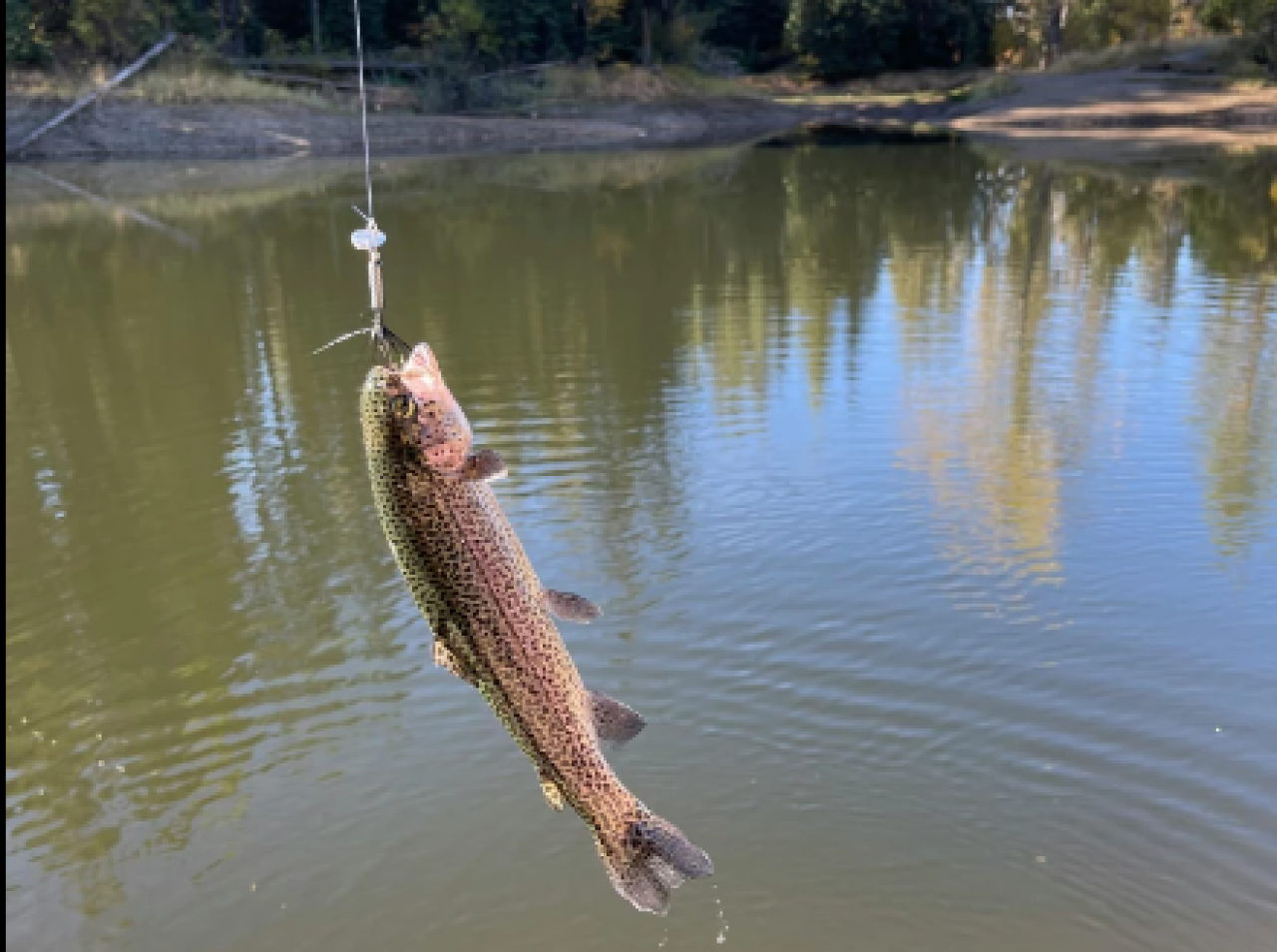 DEC's 2024 Trout-Stocking Season Kicks Off