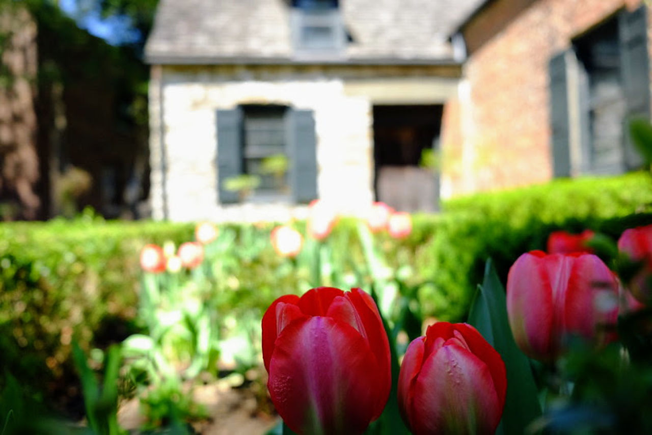 Senate House Historic Site Kicking Off Lively 2024 Season