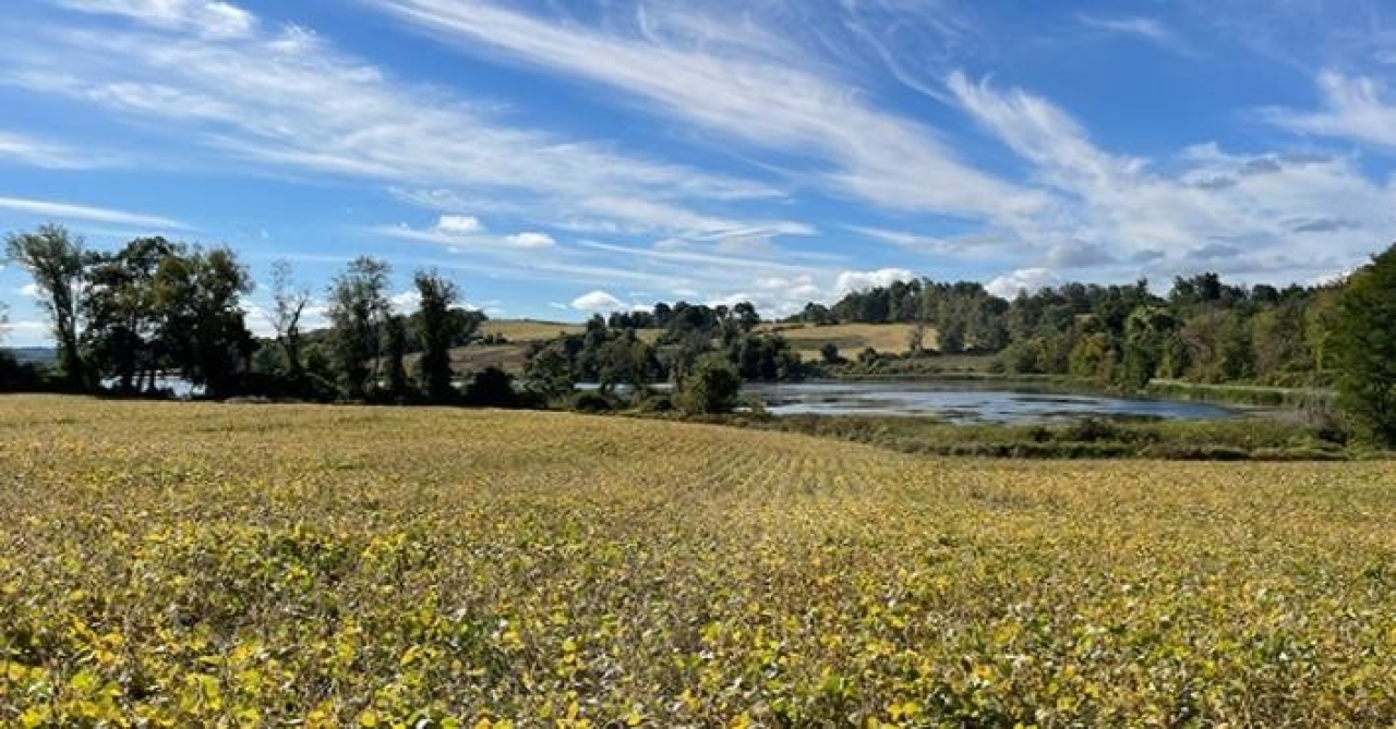 State conservation partnership grants awarded