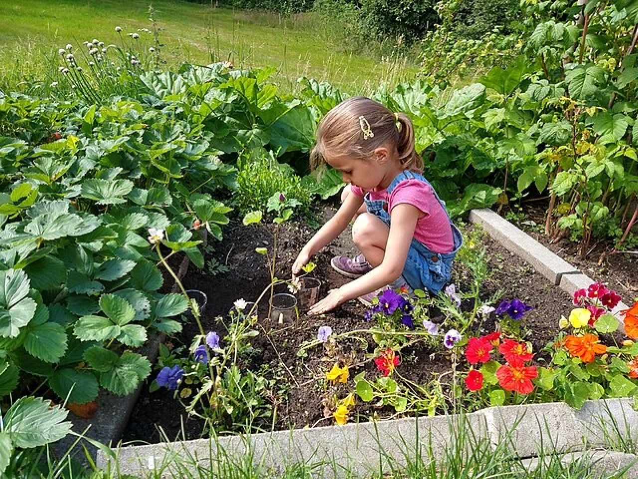Learn Gardening Secrets at Cragsmoor Library