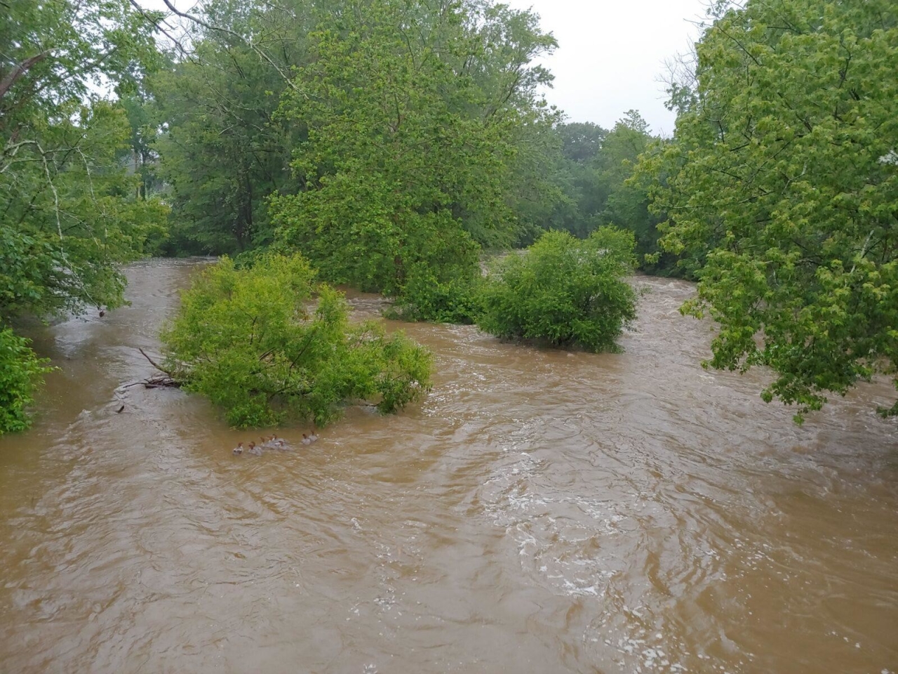 One dead as storm rips through southern Delaware County