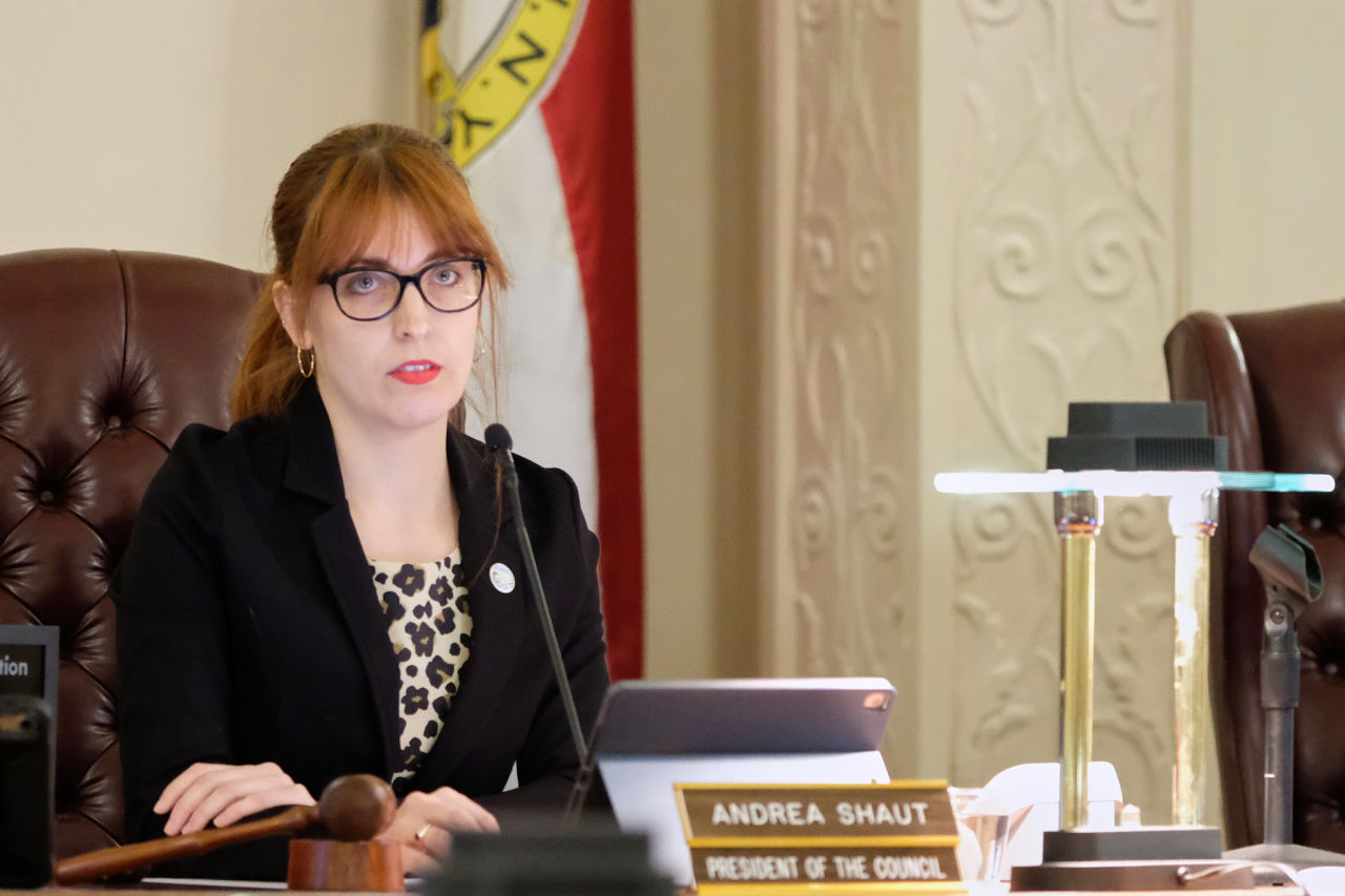 Editorial: Kingston Common Council Zooms Into Hate
