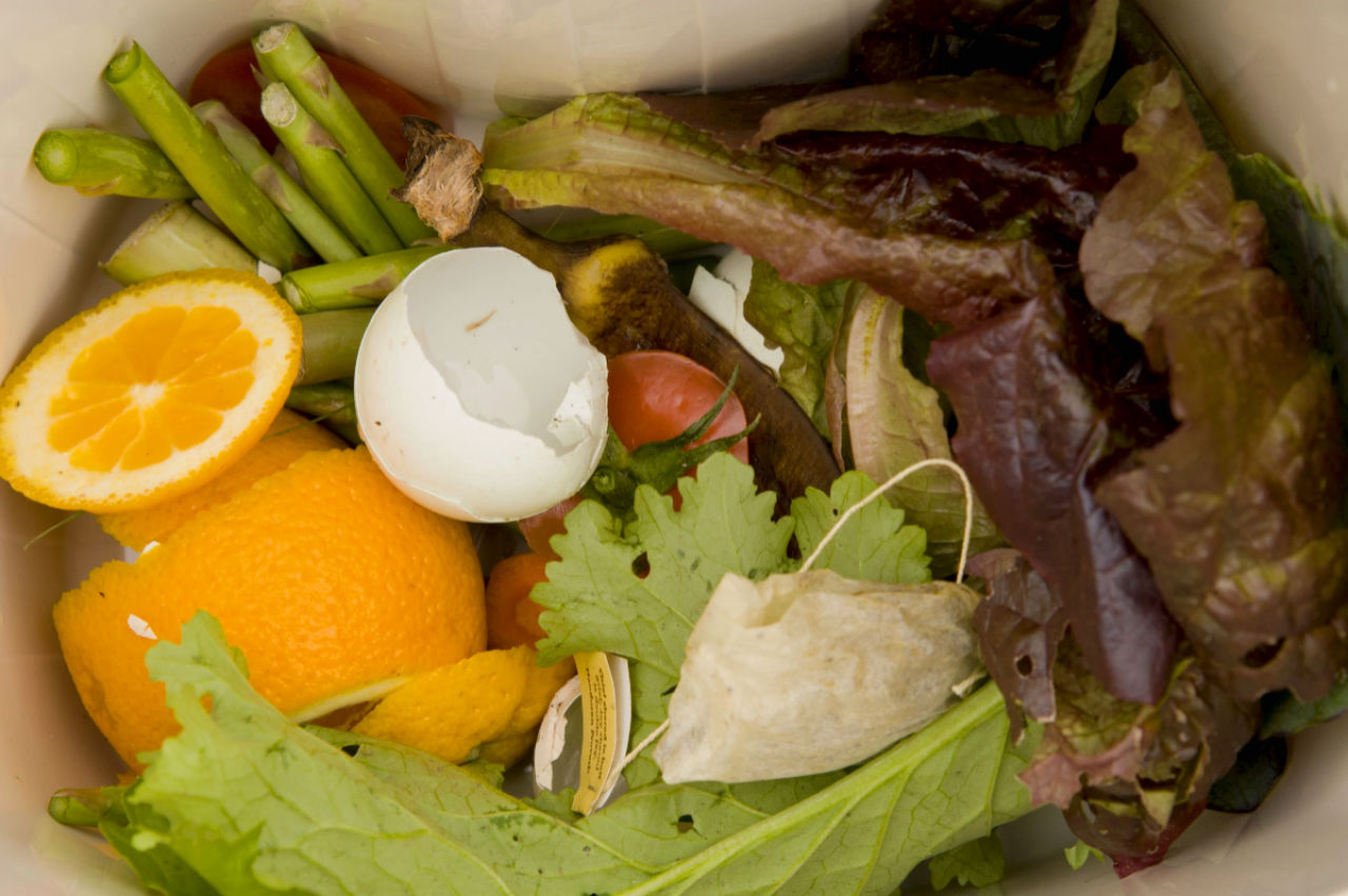 $538K State Grant to Help City Expand Food Scraps Collection