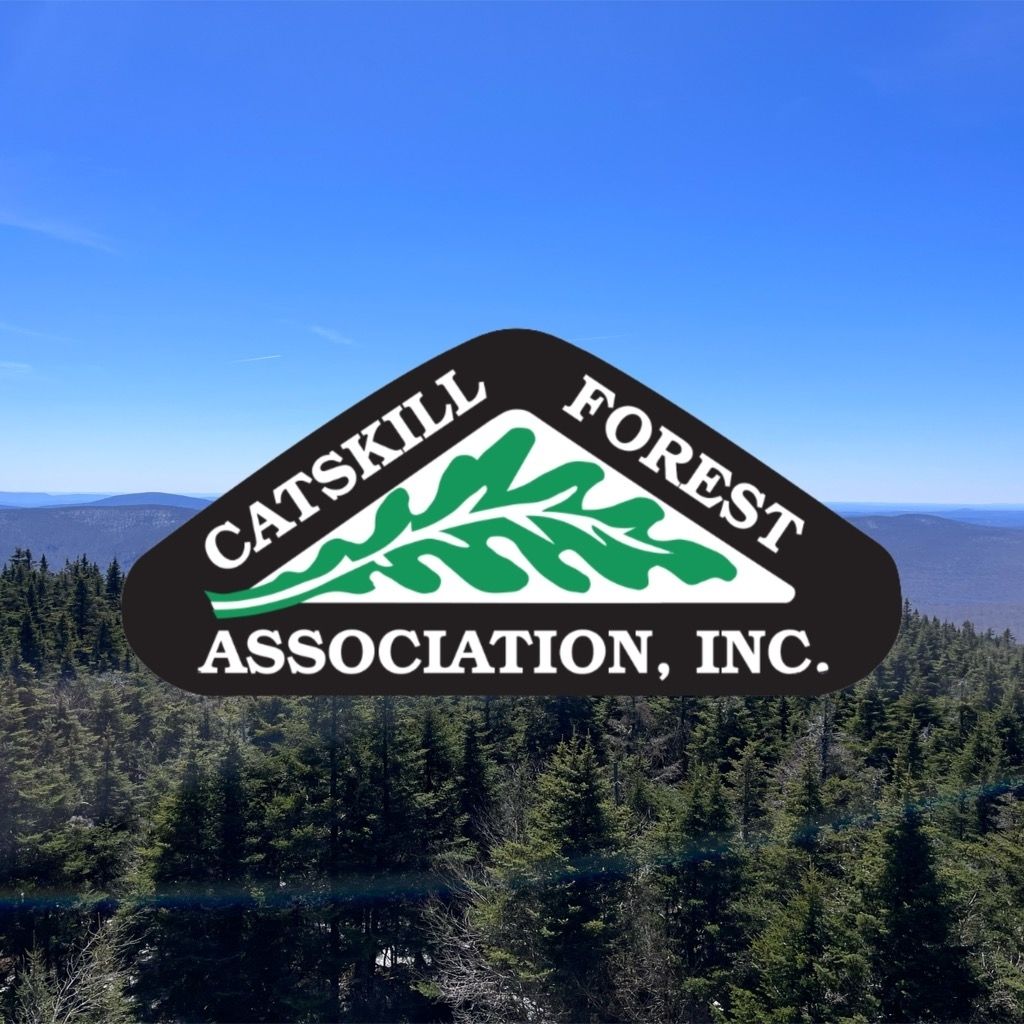 Catskill Expert to Discuss Wilderness at Mamakating Environmental Center