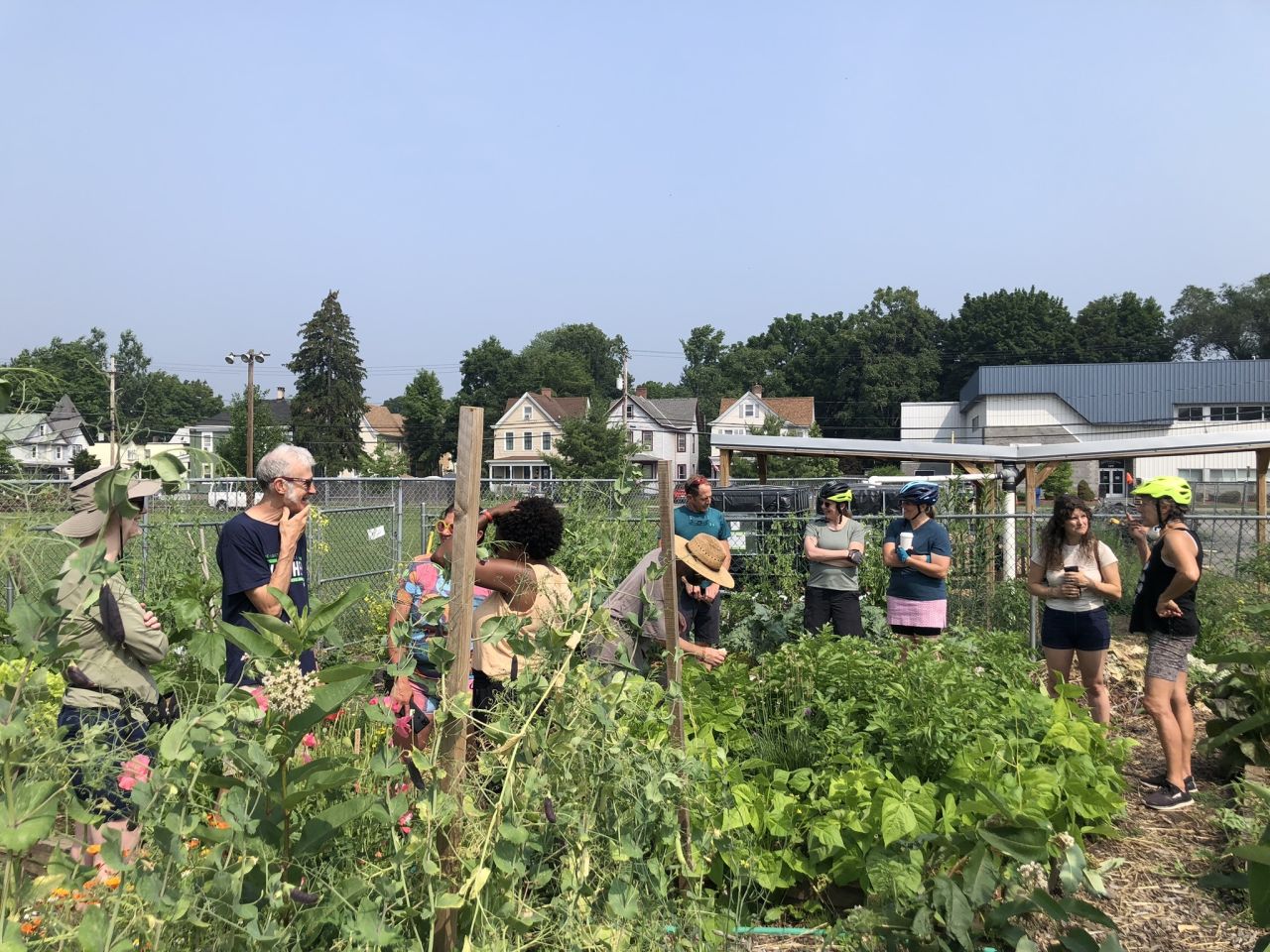 Tour Kingston's Community Gardens on Saturday