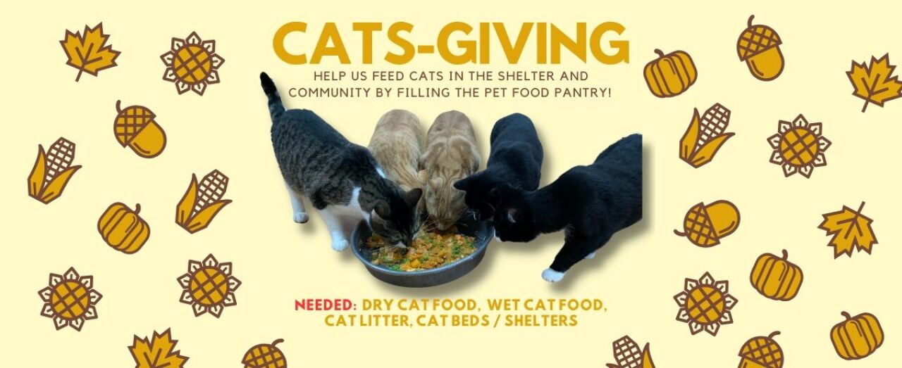 Cats-giving Pet Food Drive