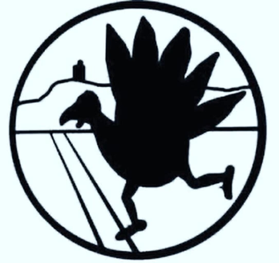 Keegan Army Turkey Trot