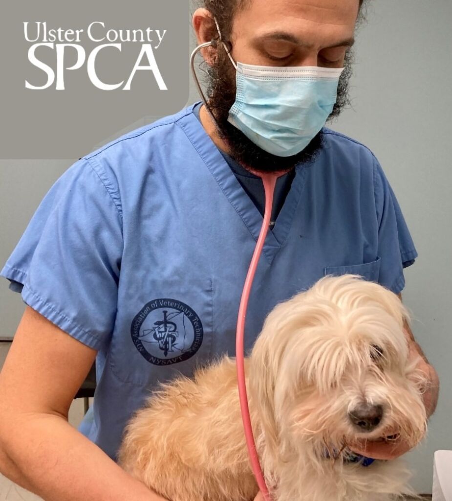 UCPSCA Pet Wellness Clinic