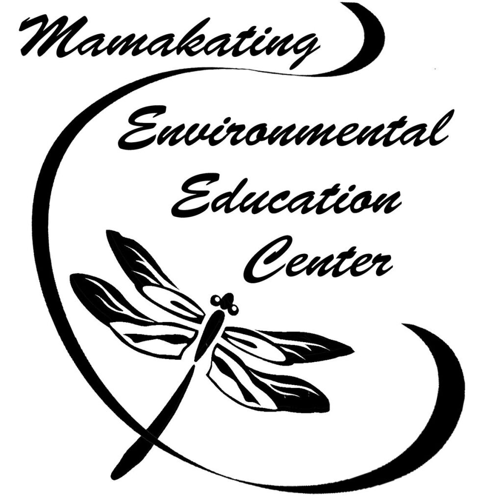 Birdseed Creations Workshop