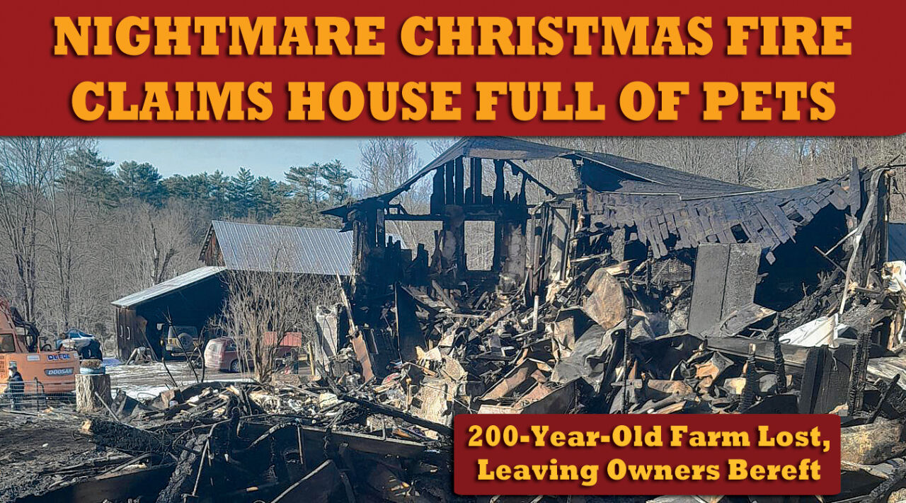 ‘Nightmare’ Christmas Fire Claims House Full of Pets