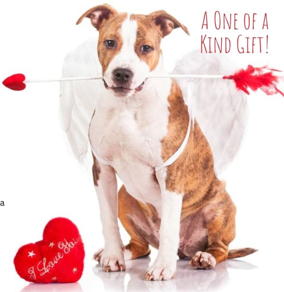 Valentine's Day Puppygrams 2025