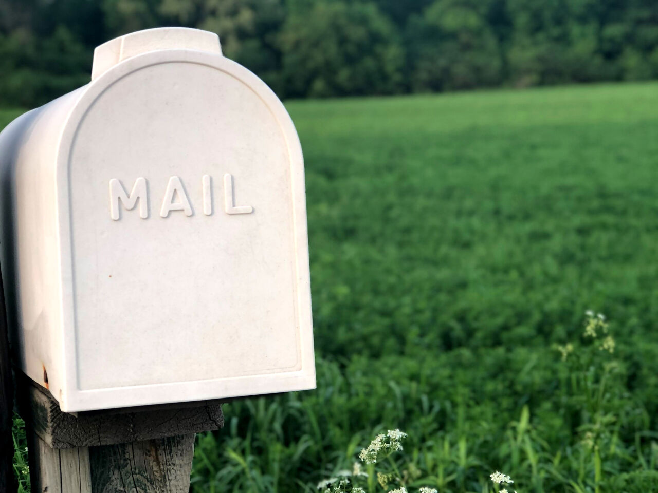 Letter: They're Coming For the Catskill Mountain Railroad