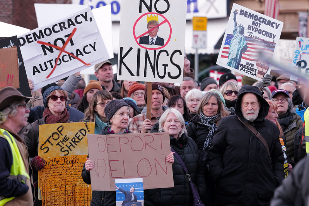 Kingston Throngs Decry Trump, Musk and More