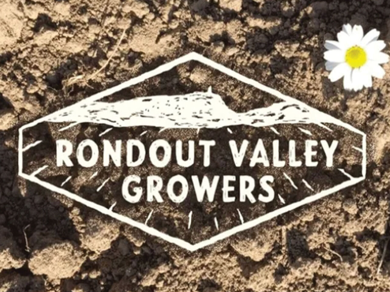 Rondout Valley Offers Scholarship for Agriculture Education