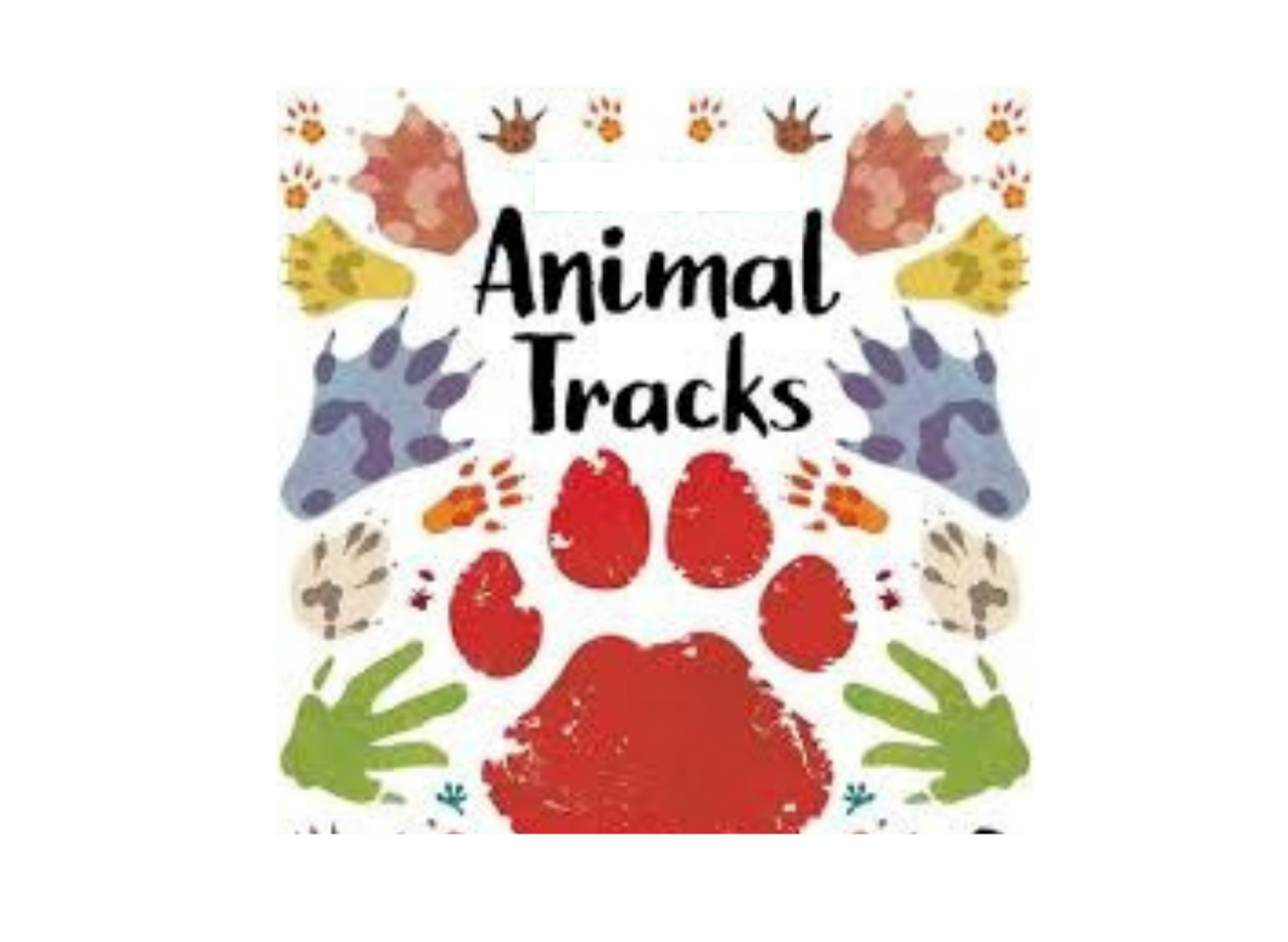 Animal Tracks