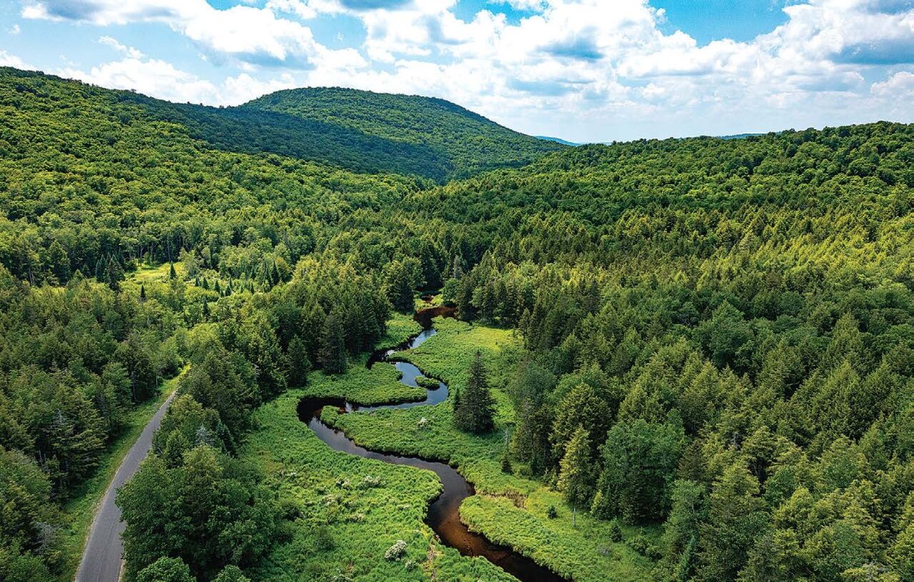 OSI completes purchase of 3,100 acres