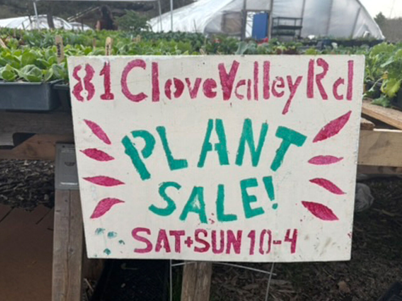 Rondout Valley Growers Boost Local Farmers