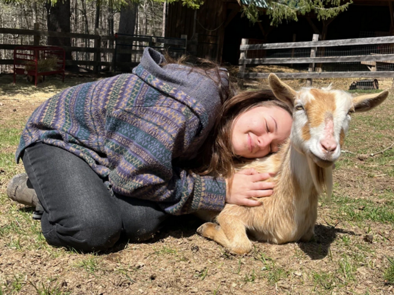 School’d: A Love Letter to Goats