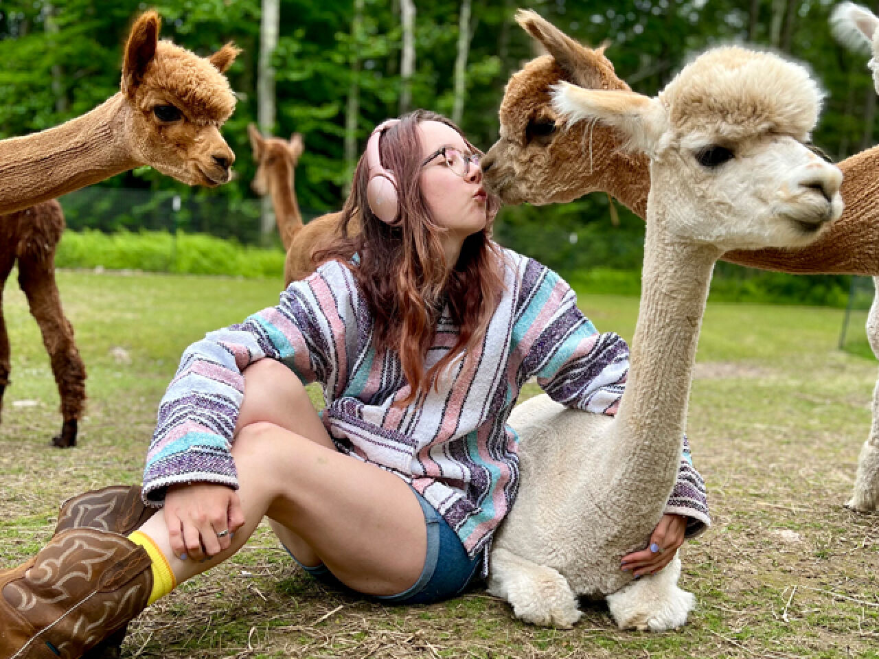 Head Over Heels for Alpacas at Tú Vee Mór Farm